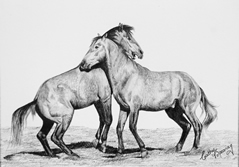 jose fontes lusitanos